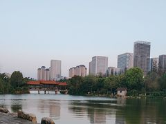 -洛龙公园