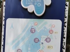 -丁香湖公园