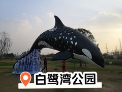 -白鹭湾湿地公园