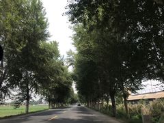-棋盘山风景区
