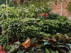 -秦美花卉(天朗·莱茵小城2期店)