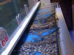 -聚盛源蒸汽海鲜火锅烤肉自助(巨川金海岸购物广场店)