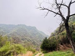 -抱龙峪