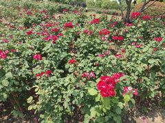 -上海交通大学(闵行校区)