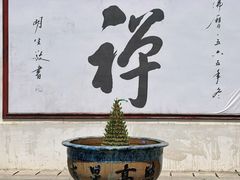 -光孝寺