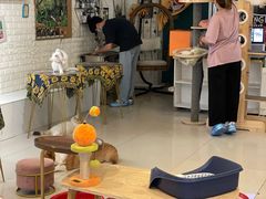-平行世界·猫咖(首经贸店)