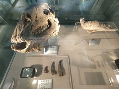 -甘肃地质博物馆