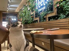 -Peet's Coffee皮爷咖啡(豫园店)