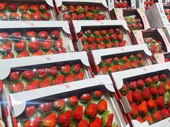 -T11生鲜超市(朝阳公园店)
