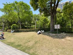 -南翔镇银翔湖公园