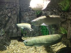 -嘉兴海底世界