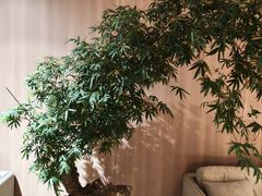 -麓湖国际水疗