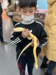 -Moni星球萌宠·小马宝莉·灵蛇·高端高阶全萌宠互动体验俱乐部(红豆国际广场店)