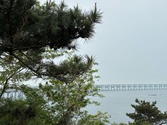 -星海湾跨海大桥