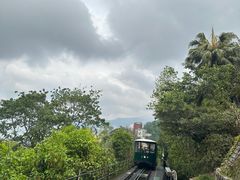 -太平山顶