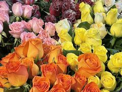 -循礼门鲜花花市(武汉循礼门店)