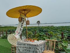 -七的湖·晚芳亭·阳澄湖农家菜·大闸蟹(莲花岛店)