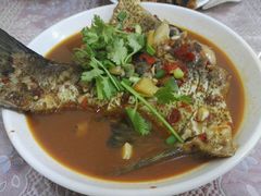 -天乐农家鱼头王(天目湖店)
