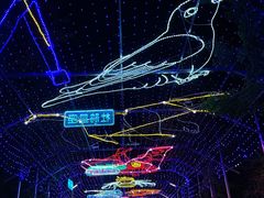 -南宫五洲植物乐园