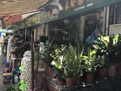 -曲阳花鸟市场(曲阳路店)