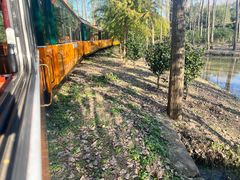 -合肥滨湖国家森林公园