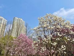 -白塘生态植物园