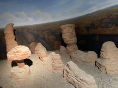 -甘肃地质博物馆