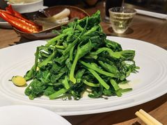 银杏高山豌豆尖-眉州东坡(大悦城店)
