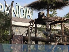 -武汉动物园