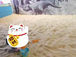 -恐龙探索乐园(磁器口店)