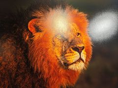 -罗红摄影艺术馆