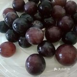 【青夏金秋】葡萄/橘子🍊