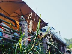 -远山有窑