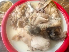 -崂山水果园农家宴(泉水鸡店)