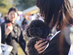 -青岛汇泉商业广场