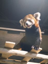 -Zoolung Zoolung动物主题公园(海信广场店)