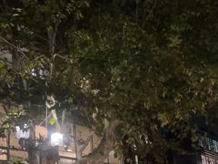 -三好坞景观餐厅
