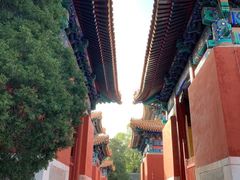 -北京国子监胡同
