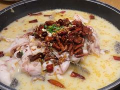-盛宏鑫·四川鲜鱼馆(一元路店)