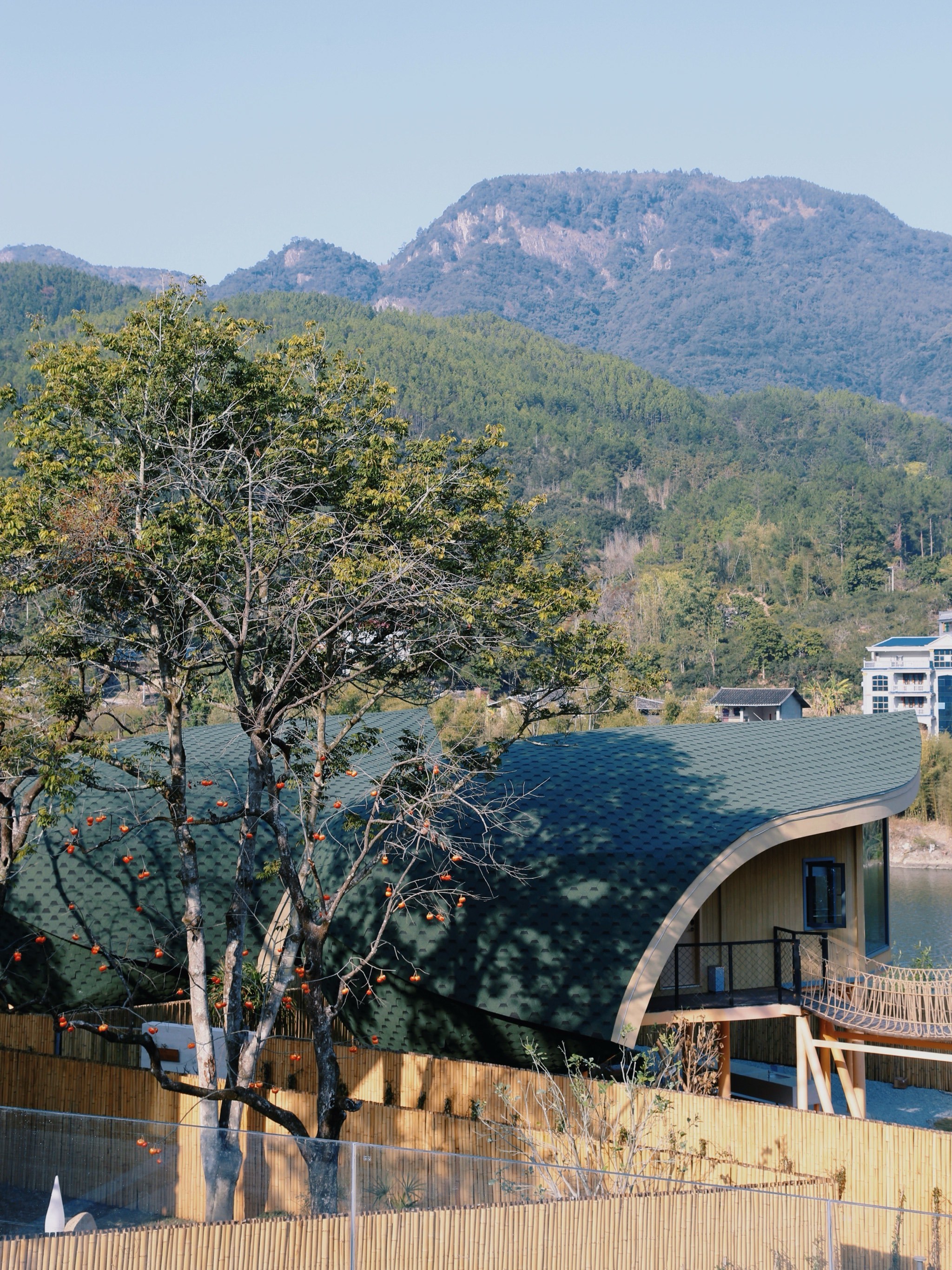 永泰大樟溪畔,福州版有风的地方🌿