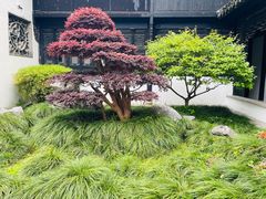 -绮园景区