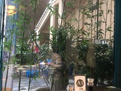 -九炉分座(五彩店)