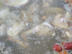 -花苑美食横琴生蚝火锅(拱北粤华路店)