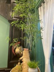 -海文先生国潮烫染男士理发馆