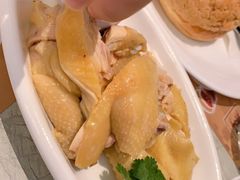 海南鸡饭-翠华(澳门银河店)