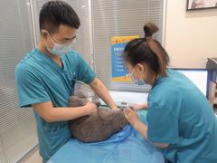 -美迦爱-牙专科·兔科·骨科诊疗中心(北苑店)