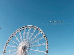 -海德公园