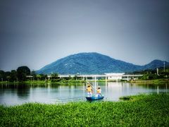 -风云岭森林公园