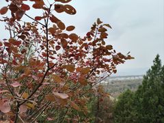 -北京凤凰岭