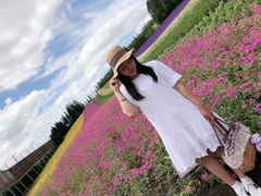 -富田农场